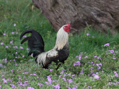 IMG_7610SZ.JPG