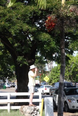 IMG_7831SZ.JPG