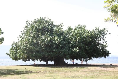 IMG_7835SZ.JPG