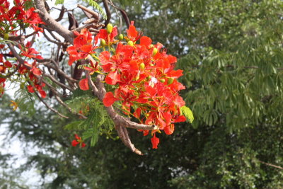 IMG_7859SZ.JPG