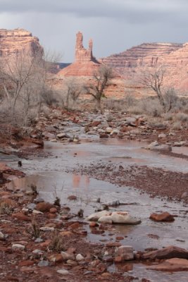 IMG_9337.JPG