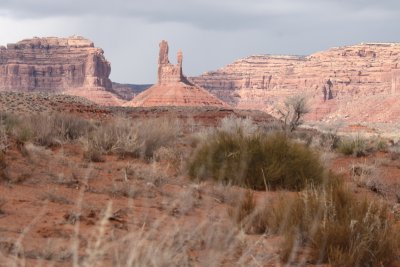 IMG_9339.JPG