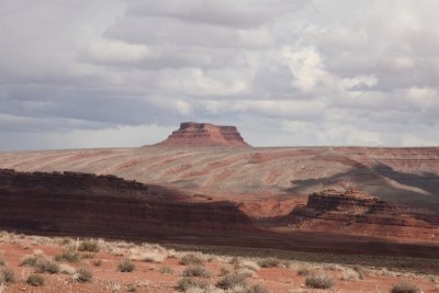 IMG_9349.JPG