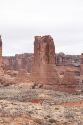 IMG_9447.JPG