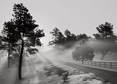 Black Forest Fog, 1998 (driveway)