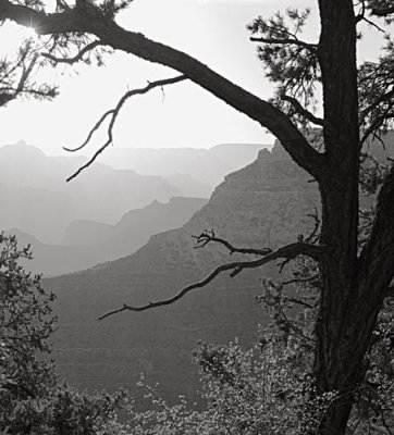 Grand Canyon, Dawn, 2001