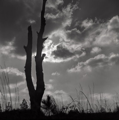 Storm Clouds Breaking, Louisiana, 1970