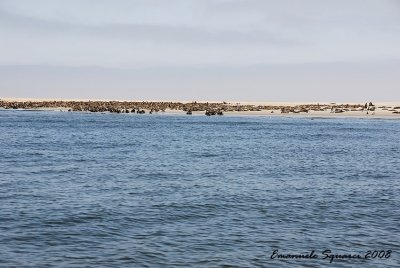 Walvis Bay and Sandwich Harbour