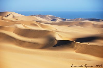The Namib's dunes