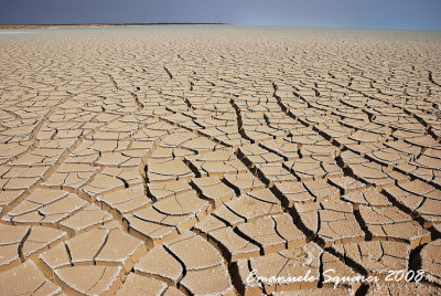 Clay is split into exagonal salt-incrusted fragments