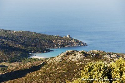 Asinara Isle: Cala del Turco