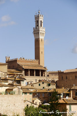 A back view of Palazzo Pubblico
