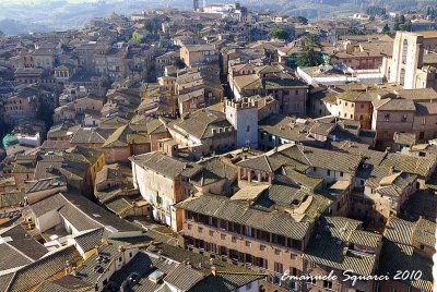 Sight from Torre del Mangia