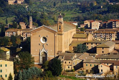 San Francesco's Church