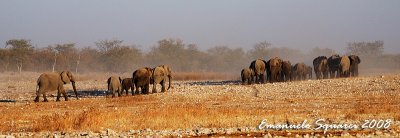 In the dust of their walking