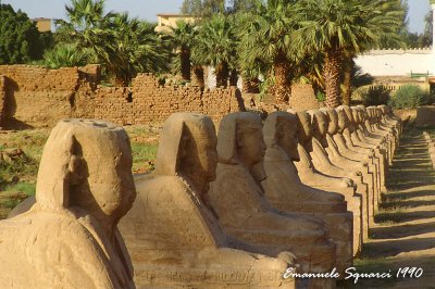 Row of Sphinxex once leading to Karnak