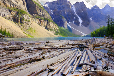 Lake Moraine