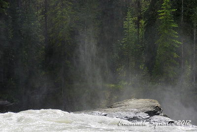 Athabasca Falls