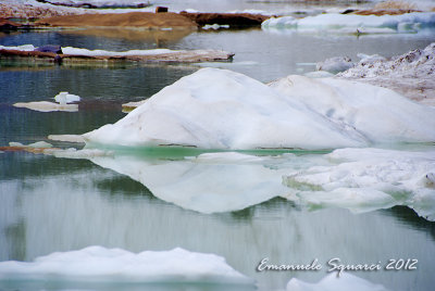 Cavell Glacier: icebergs