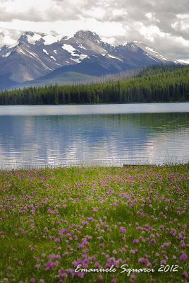 Maligne Lake