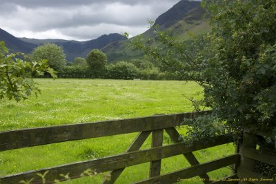 Buttermere Farm 1