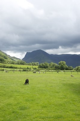 Buttermere Farm 3