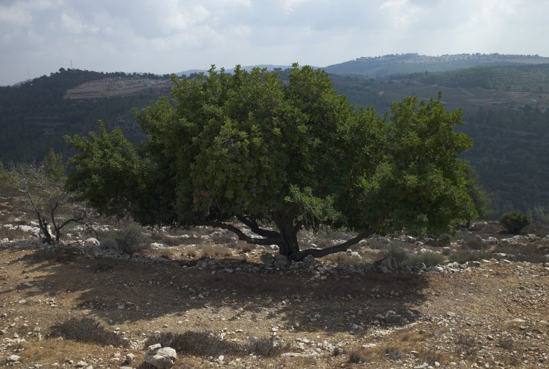 L1011351.jpg