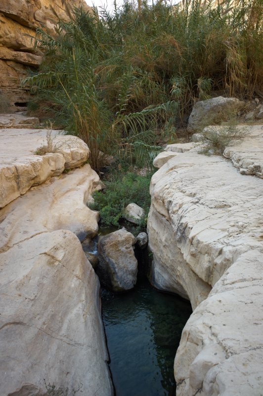 L4006734.jpg