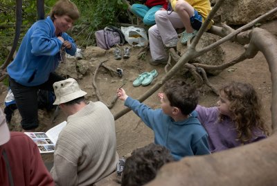 L4003150.jpg