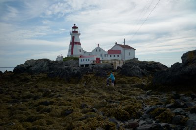 L4005655.jpg