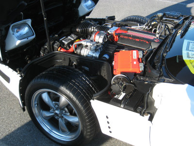 IMG_3338_web.jpg