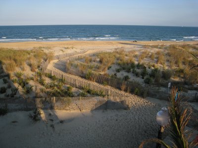 IMG_3402_web.jpg