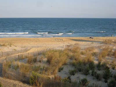 IMG_3404_web.jpg