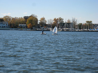 Someone learning to sail