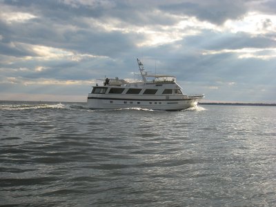 g1/61/217761/3/105735866.zdtWpZW4.jpg
