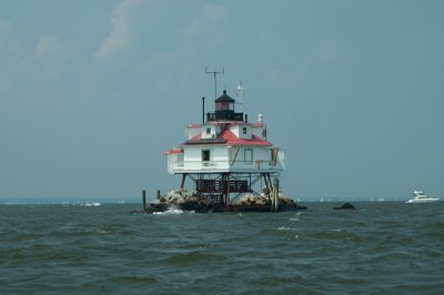 _DSC8588_web__1024_.jpg