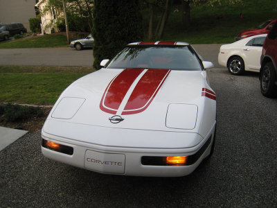 C4Stripes13.jpg