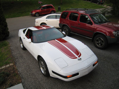 C4Stripes14.jpg