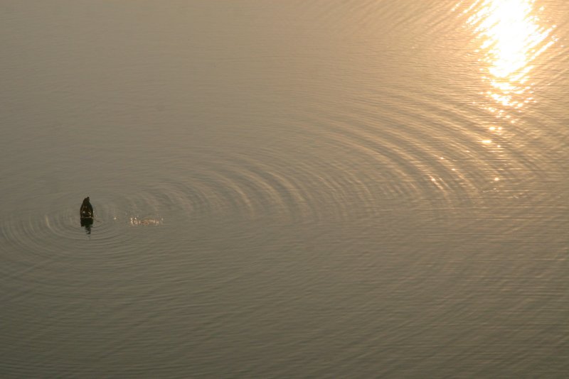 Sunrise over the Taedong, Pyongyang