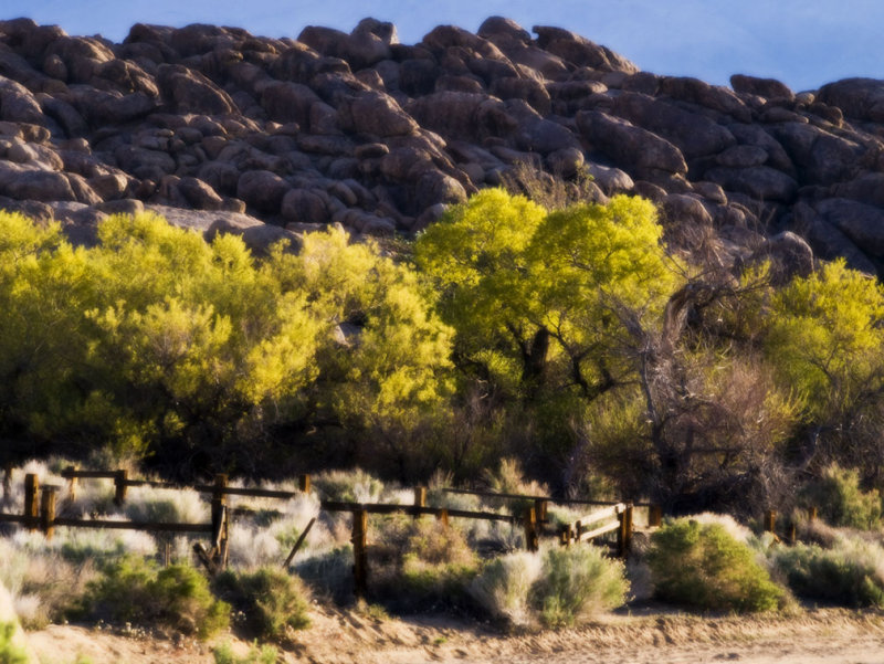 <B>Pastorale</B> <BR><FONT SIZE=2>Lone Pine, California - April 2008</FONT>