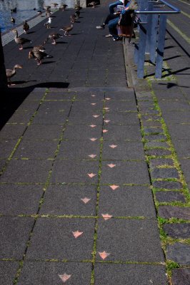 Feet and Prints Reykjavik, Iceland - July 2009