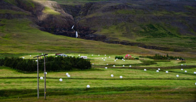 Farm Northern Iceland - July 2009