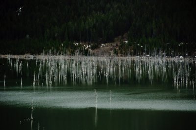Isolated Earthquake Lake, Montana - May 2010