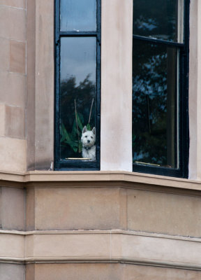 Waiting Glasgow, Scotland - September 2010