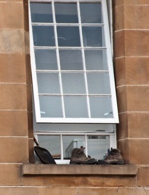 Airing Out Glasgow, Scotland - September 2010