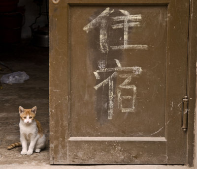 Kitty Pingyao, China - September, 2007