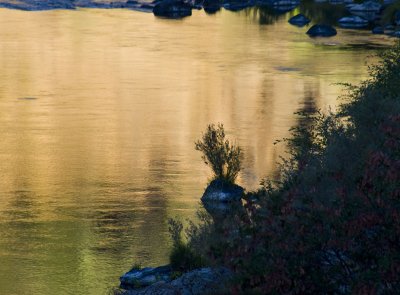 <B>Golden Morning</B> <BR><FONT SIZE=2>Trinity River, August, 2007</FONT>