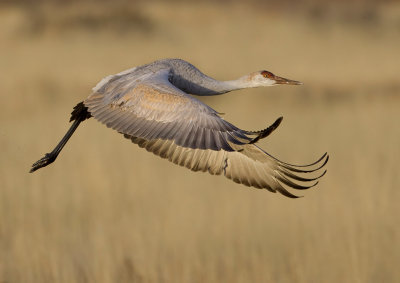 Taking off...a little further