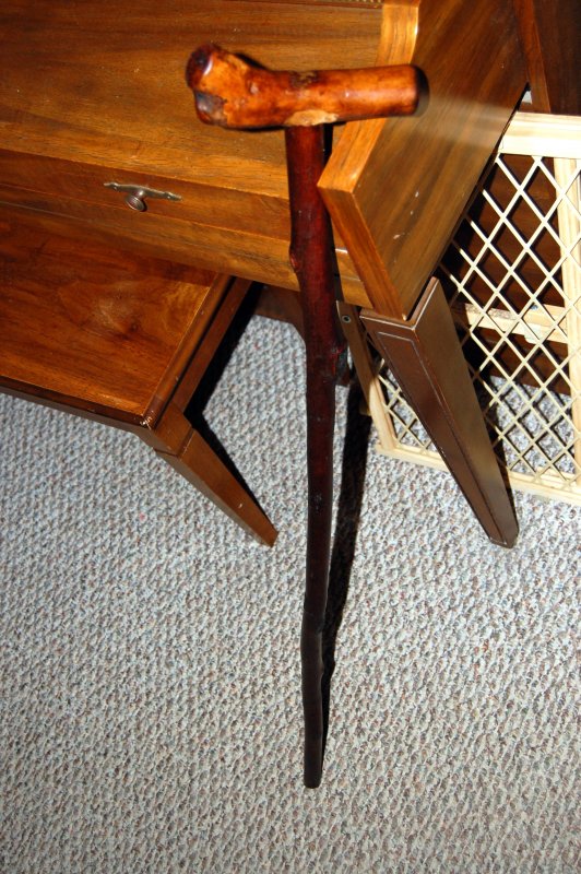 dogwoodheadcane5.jpg