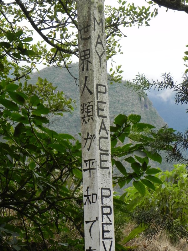 DSCN8391 Kopie.JPG